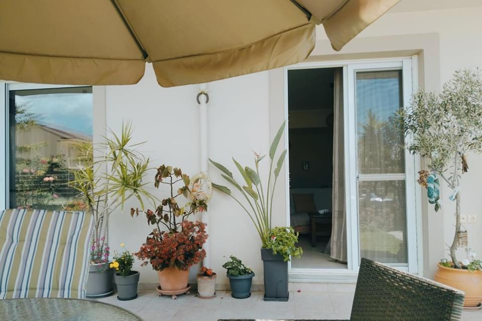 Appartamento Xrysa'S Garden Mesolóngion Esterno foto